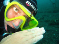   Lembeh strait North Sulawesi  